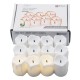 YASENN Flameless LED Tea Light Candles - Pack of 12, Steady Glow, Battery Operated with LR1130