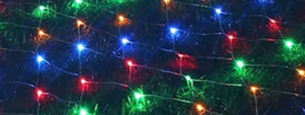 The Net Light Mistake: Why Your Shrubs Still Look Dark From the Front